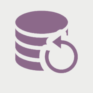 copias de seguridad woocommerce