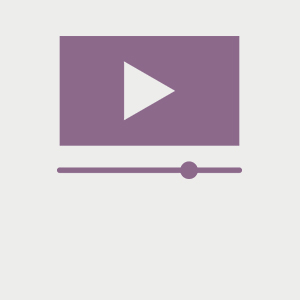 meter videos en productos woocommerce