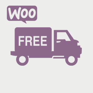 ocultar otros metodos de envío si es gratis